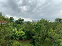 Holland Tower (D10), Apartment #431360241